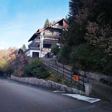 Haus Schwarzwaldblick Villa Hornberg Bagian luar foto