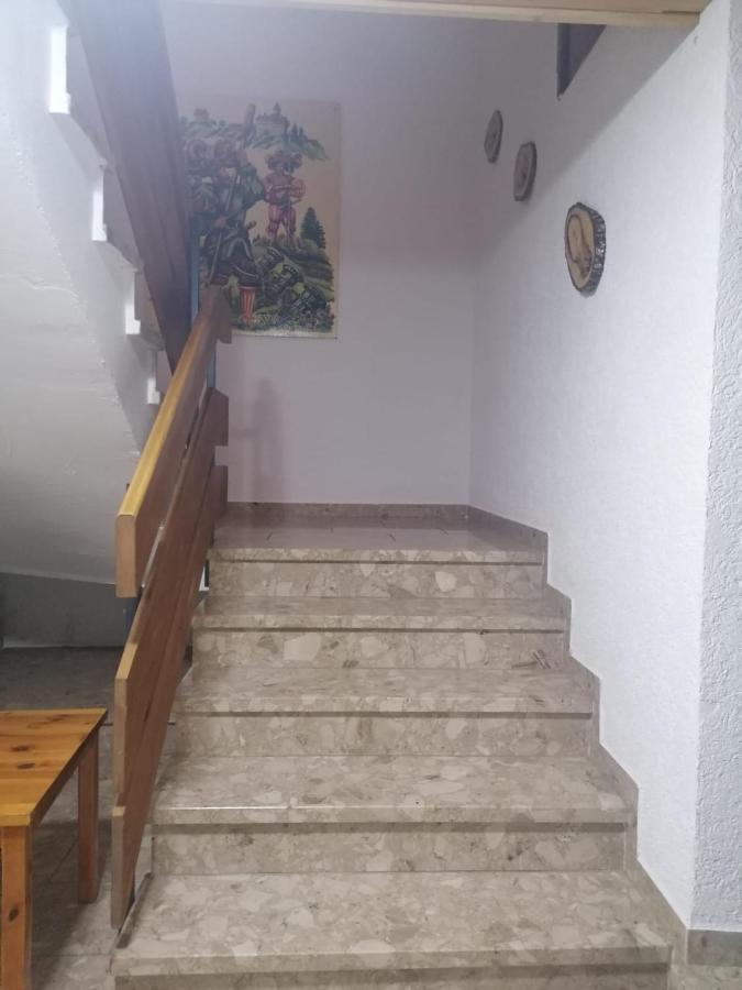 Haus Schwarzwaldblick Villa Hornberg Bagian luar foto